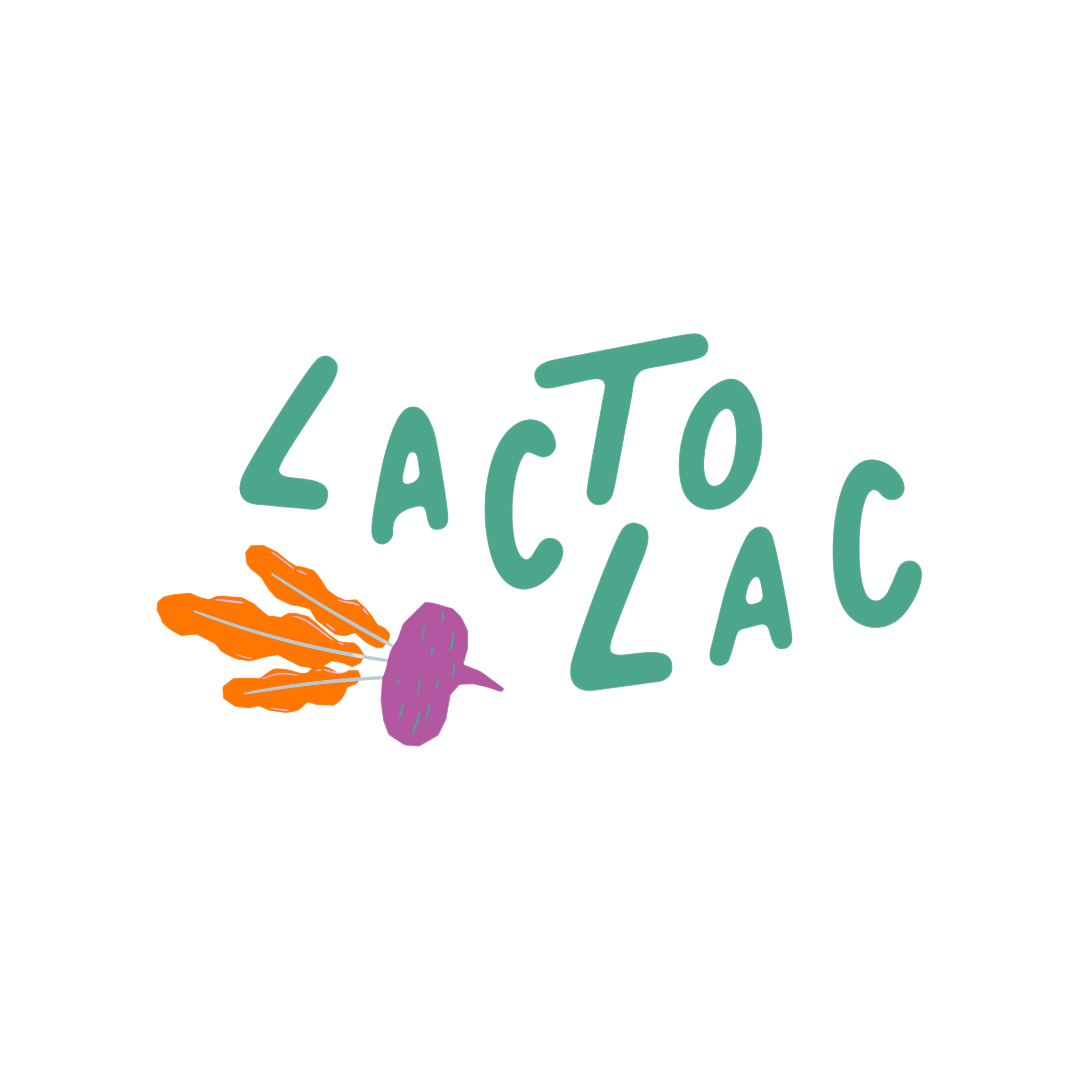 LactoLac produits lactofermentés Saguenay–Lac-Saint-Jean kimchi choucroute boréale curtido